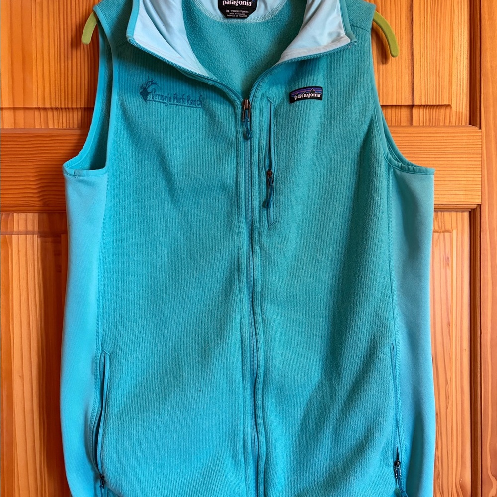 Patagonia Aqua Blue Fleece Vest